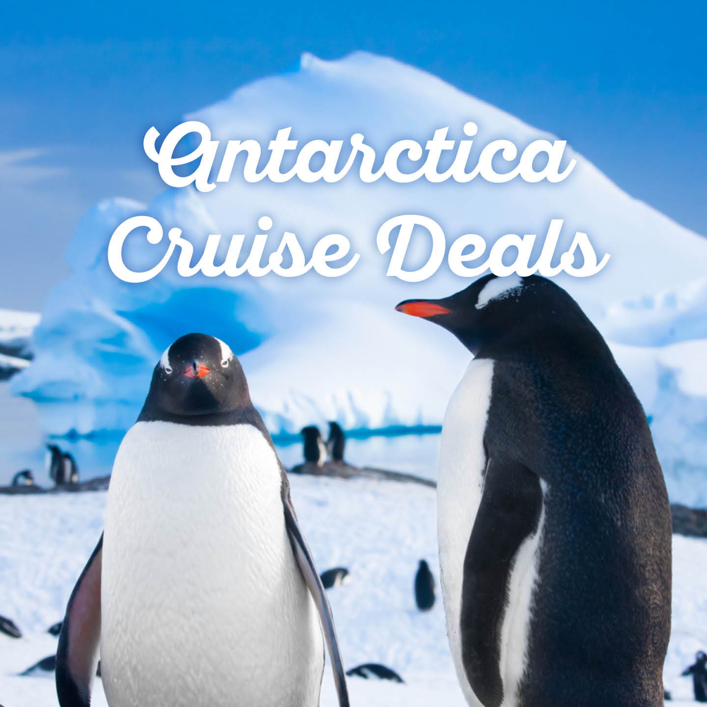 antarctica-cruise-deals1-thumb.jpg
