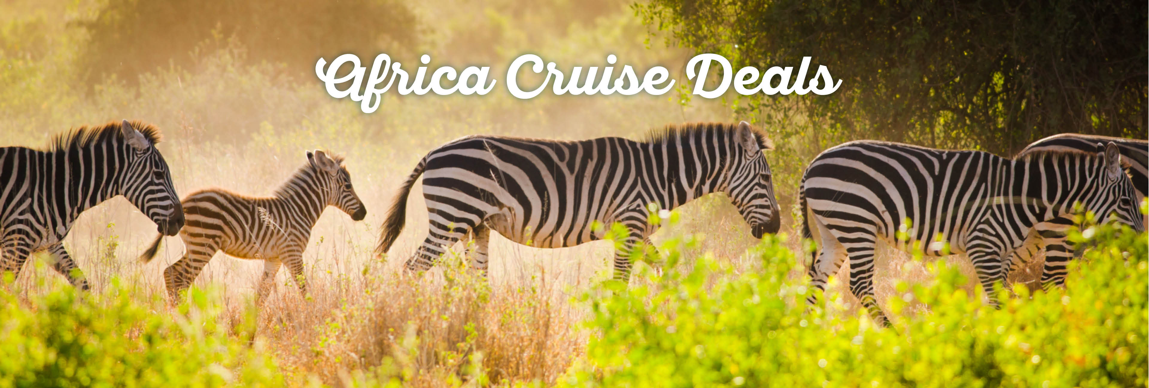 africa-cruise-deals1.jpg