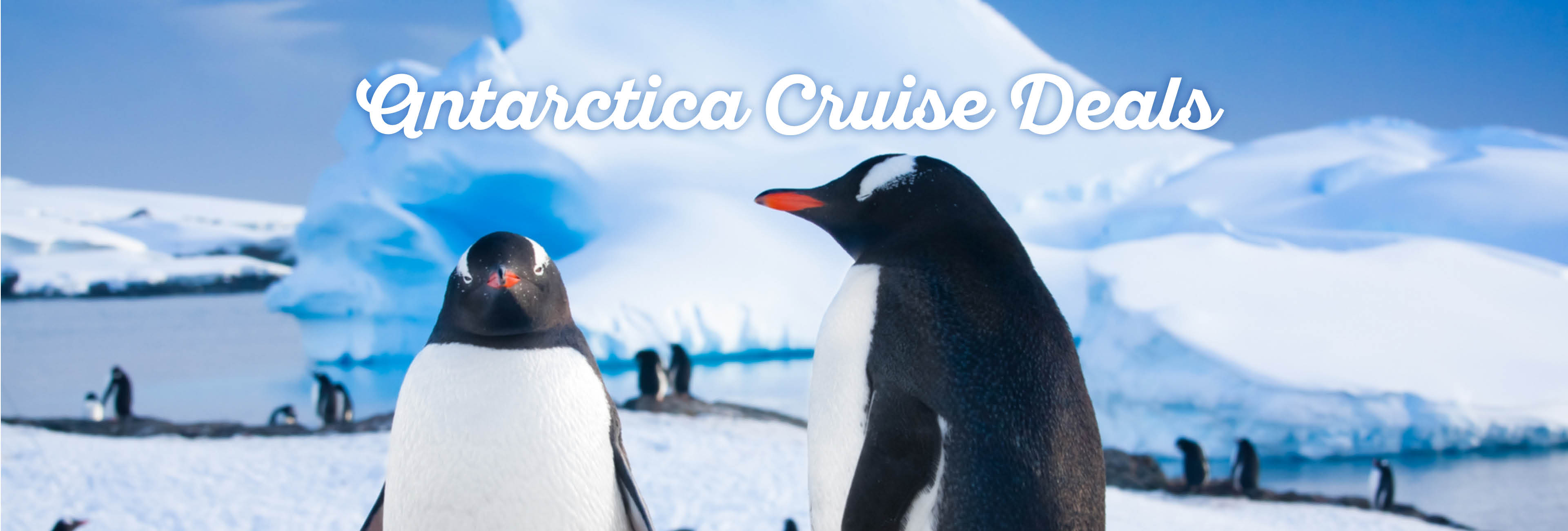 antarctica-cruise-deals1.jpg