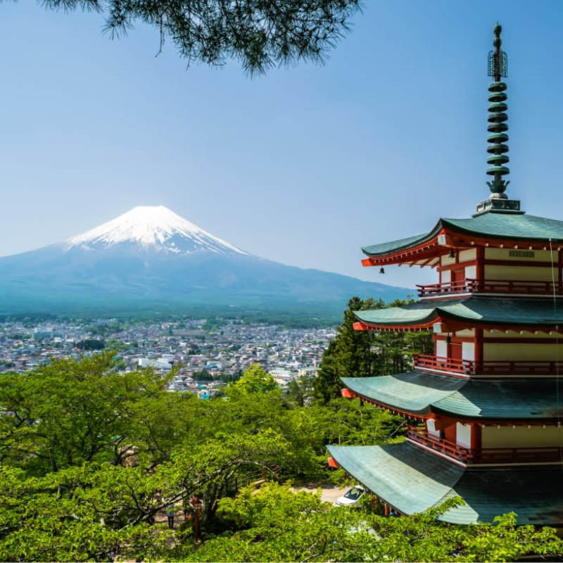 Japan Voyage & Mount Fuji Explorer