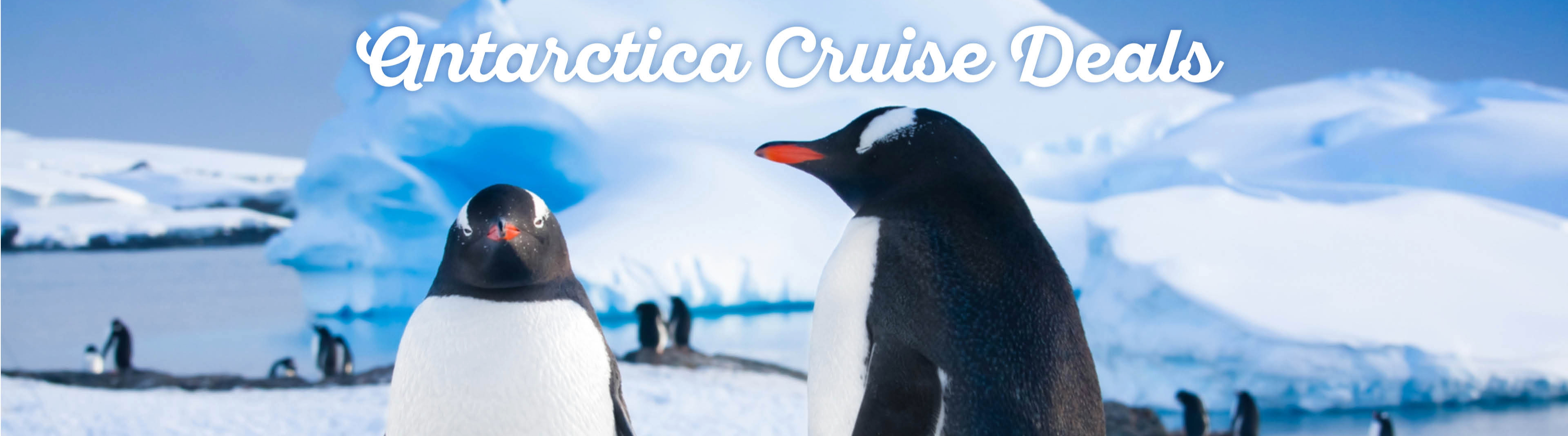 antarctica-cruise-deals1new.jpg