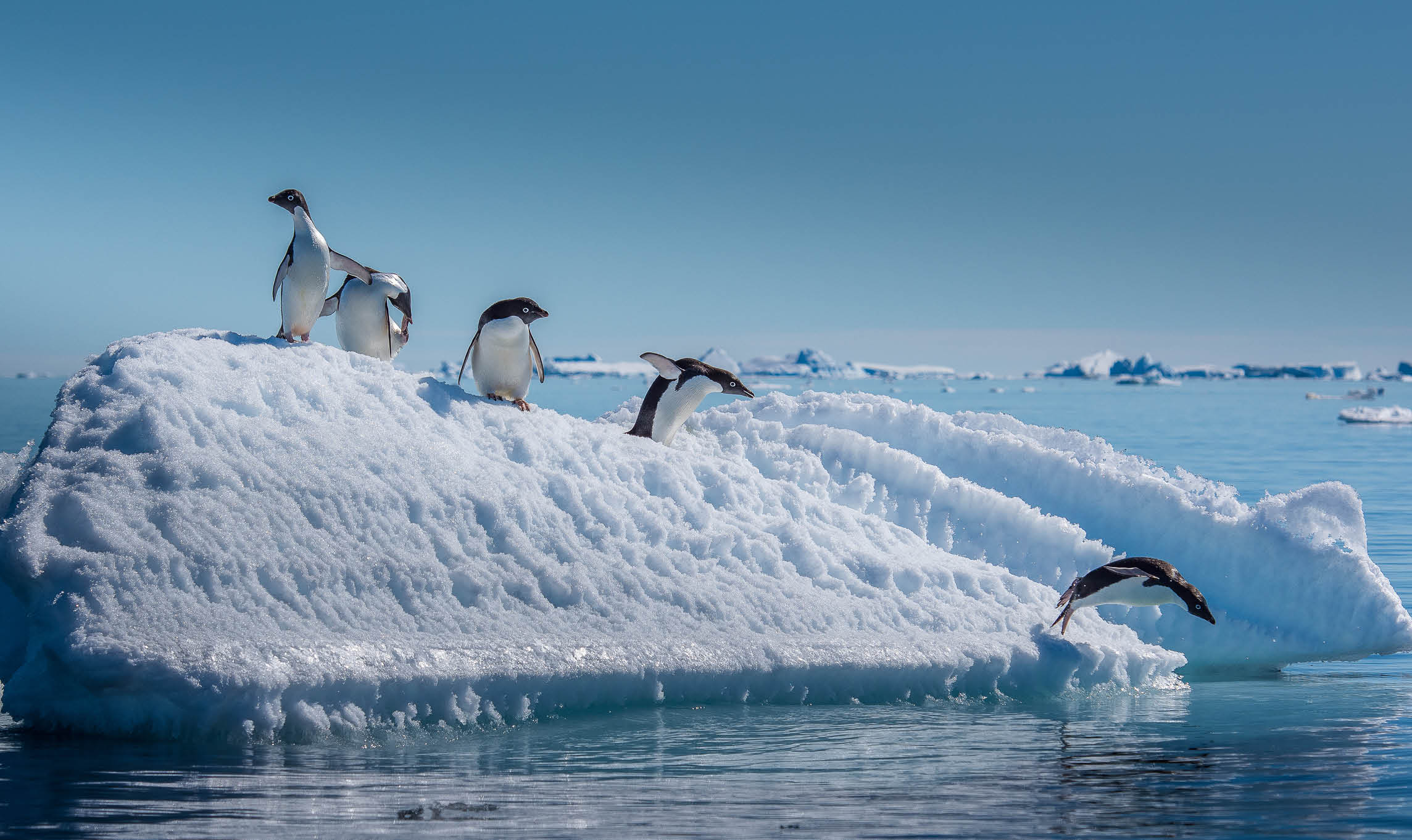 Azamara Chile & Antarctica Voyage with Iguazu Falls